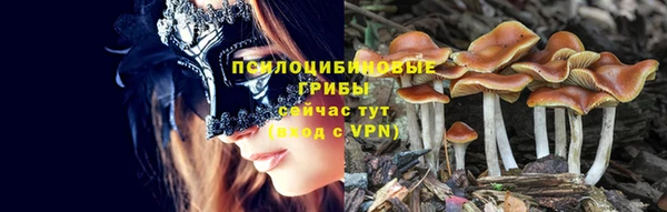 MDMA Premium VHQ Белокуриха